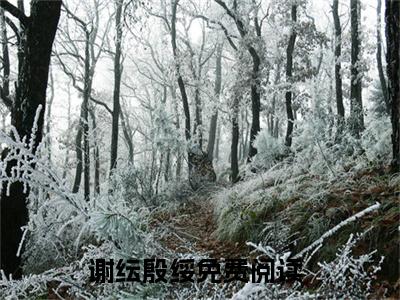 谢纭殷绥今日更新最新章节谢纭殷绥在线阅读