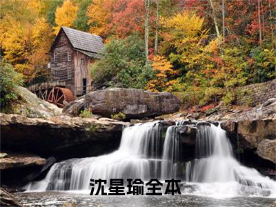 沈星瑜小说全文免费阅读夫人觉醒后，全球渣男为她发疯免费完整版阅读