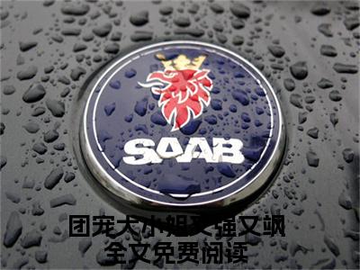 江念嘉洛予安（团宠大小姐又强又飒大结局小说全集完整版）_（团宠大小姐又强又飒小说）江念嘉洛予安全文阅读笔趣阁