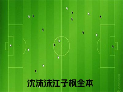 沈沫沫江子枫全文免费阅读无弹窗大结局_沈沫沫江子枫章节列表_笔趣阁