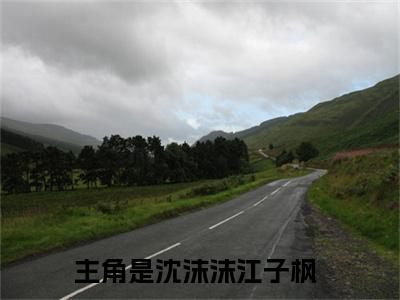 小说《沈沫沫江子枫》全文免费阅读无弹窗-沈沫沫江子枫小说全文在线赏析_笔趣阁