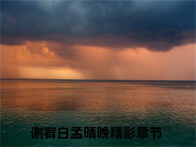 谢宥白孟晴晚(谢宥白孟晴晚)小说免费下载全本-谢宥白孟晴晚（谢宥白孟晴晚完整版）免费阅读无弹窗
