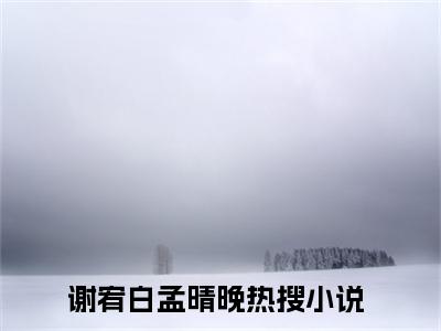 谢宥白孟晴晚满分热推小说 -谢宥白孟晴晚小说全本已完结