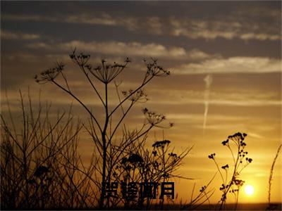 贺锋闻月（贺锋闻月）全文阅读-最火热点小说贺锋闻月最新更新