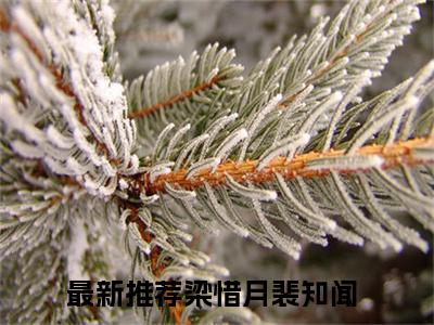 梁惜月裴知闻（梁惜月裴知闻）小说完整版阅读-小说梁惜月裴知闻全文免费阅读