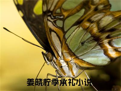 姜晓柠季承礼全文免费阅读无弹窗大结局-姜晓柠季承礼在线阅读