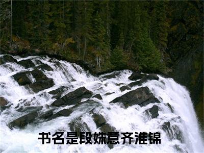 段姝意齐淮锦是哪部小说的主角，段姝意齐淮锦免费阅读全文大结局