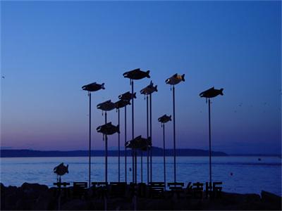 苏景琛夏知意（苏景琛夏知意）全文免费阅读大结局-苏景琛夏知意小说全文免费阅读最新章节列表