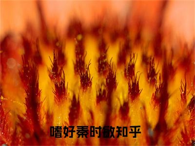 嗜好秦时敏（嗜好秦时敏）全文免费阅读无弹窗大结局_（嗜好秦时敏无弹窗）_笔趣阁