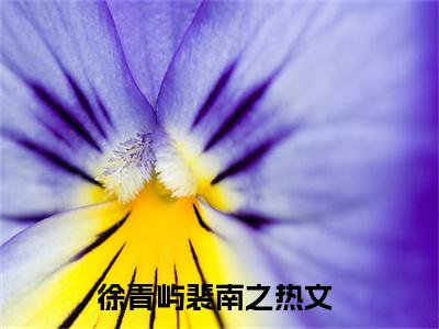 徐青屿裴南之阅读无弹窗大结局_（徐青屿裴南之阅读无弹窗）最新章节列表_笔趣阁（徐青屿裴南之）