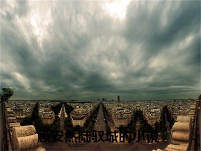 (热推新书)顾安然陆驭城全文免费阅读无弹窗大结局-热推顾安然陆驭城无弹窗阅读顾安然陆驭城在线阅读