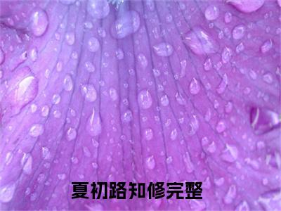 （夏初路知修）新书热荐免费小说-小说大结局