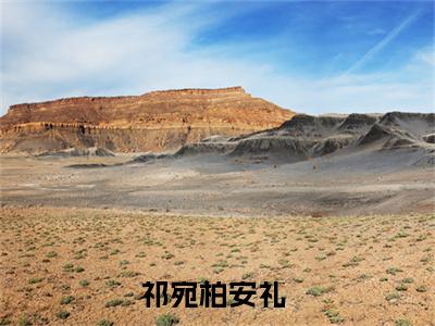 祁宛柏安礼小说（祁宛柏安礼）全文免费阅读无弹窗大结局_祁宛柏安礼最新章节列表_