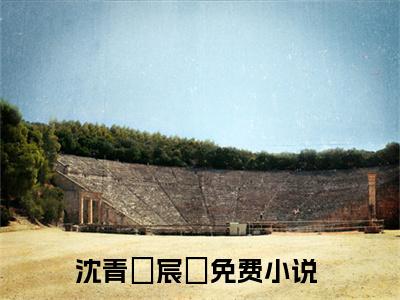 沈青婈宸玦（沈青婈宸玦）全文免费阅读无弹窗大结局_(沈青婈宸玦免费阅读)沈青婈宸玦无弹窗最新章节列表_笔趣阁