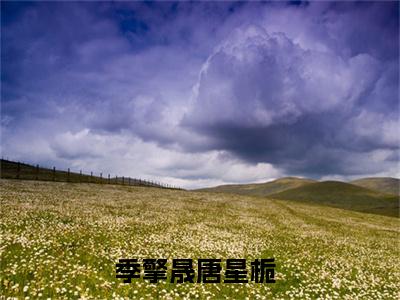 季擎晟唐星栀小说全文免费阅读（季擎晟唐星栀）全文免费阅读无弹窗大结局_(季擎晟唐星栀)季擎晟唐星栀小说免费阅读无弹窗最新章节列表_笔趣阁（季擎晟唐星栀）