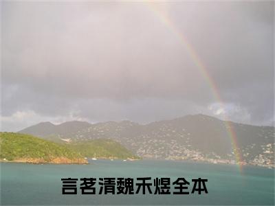 言茗清魏禾煜小说（言茗清魏禾煜最新全章节大结局）言茗清魏禾煜全文阅读
