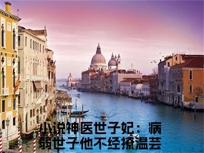 小说《神医世子妃：病弱世子他不经撩温芸》全文免费阅读无弹窗-神医世子妃：病弱世子他不经撩温芸小说全文在线赏析_笔趣阁