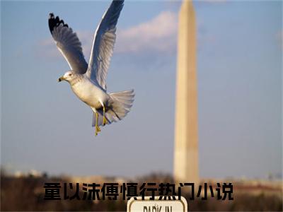 童以沫傅慎行小说免费阅读无弹窗-童以沫傅慎行（童以沫傅慎行）小说免费阅读无弹窗大结局