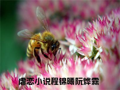 百分爆评热文程锦曦阮烨霖_程锦曦阮烨霖小说无弹窗在线阅读