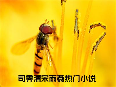 《司霁清宋雨薇完整小说》司霁清宋雨薇完结版全章节阅读