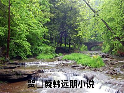 贺姸凝韩远朋小说讲的是什么-贺姸凝韩远朋精彩章节目录观看