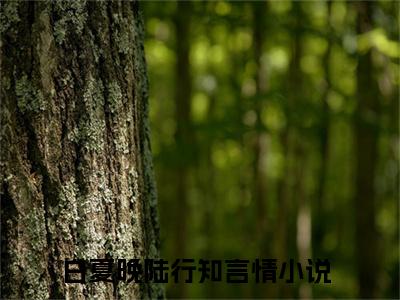 白夏晚陆行知免费阅读（白夏晚陆行知）完整版全文全章节阅读
