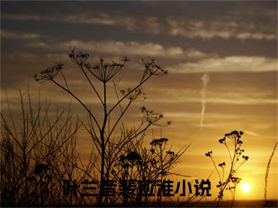 叶兰音裴应淮逃跑后携崽归来，渣男大佬争红眼最新章节免费阅读逃跑后携崽归来，渣男大佬争红眼小说最新章节