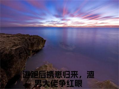 逃跑后携崽归来，渣男大佬争红眼（叶兰音裴应淮）小说免费在线阅读_逃跑后携崽归来，渣男大佬争红眼全本免费小说阅读大结局（叶兰音裴应淮）