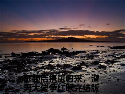 叶兰音裴应淮小说主角叫什么逃跑后携崽归来，渣男大佬争红眼全文免费阅读大结局