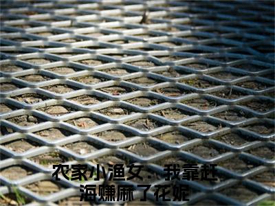农家小渔女：我靠赶海赚麻了花妮（农家小渔女：我靠赶海赚麻了花妮）最新章节在线阅读 抖音新书热荐农家小渔女：我靠赶海赚麻了花妮