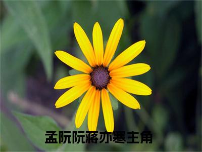 孟阮阮蒋亦寒小说免费阅读-精选孟阮阮蒋亦寒小说大结局阅读