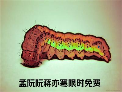 孟阮阮蒋亦寒(孟阮阮蒋亦寒)小说全文小说免费阅读_孟阮阮蒋亦寒最新章节列表笔趣阁