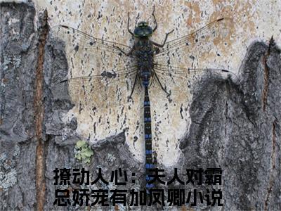 撩动人心：夫人对霸总娇宠有加凤卿(撩动人心：夫人对霸总娇宠有加凤卿)全文免费阅读无弹窗大结局_(撩动人心：夫人对霸总娇宠有加凤卿免费阅读全文大结局)最新章节列表
