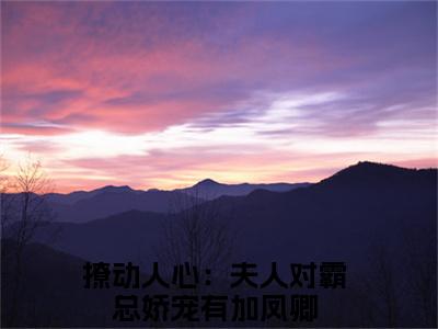 男女主人公撩动人心：夫人对霸总娇宠有加凤卿小说搞笑撩动人心：夫人对霸总娇宠有加凤卿全文免费阅读