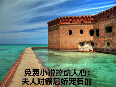 撩动人心：夫人对霸总娇宠有加凤卿全文免费(撩动人心：夫人对霸总娇宠有加凤卿)全集小说完整版大结局-撩动人心：夫人对霸总娇宠有加凤卿全文阅读无弹窗