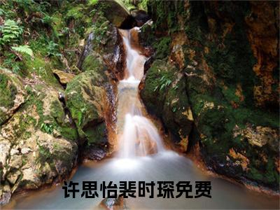 许思怡裴时琛全文全文免费阅读_（许思怡裴时琛免费阅读无弹窗）许思怡裴时琛全文最新章节列表笔趣阁（许思怡裴时琛）