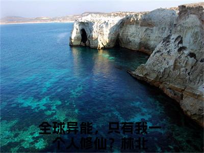 (全球异能，只有我一个人修仙？林北)最新章节在线阅读-小说无弹窗免费阅读