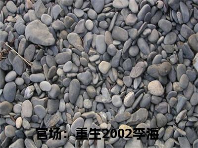 官场：重生2002李海小说全文（官场：重生2002李海）完整版阅读-官场：重生2002李海小说全文无删减版