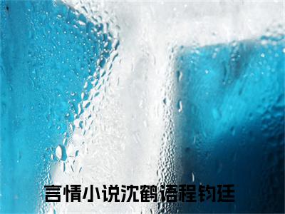 沈鹤语程钧廷全文免费阅读无弹窗大结局_章节列表_笔趣阁