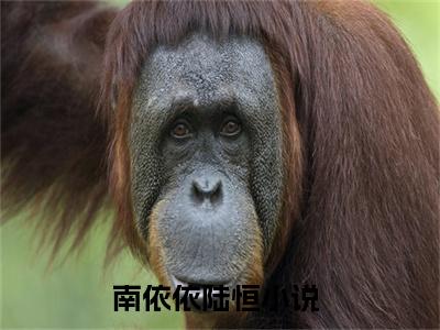 南依依陆恒小说（南依依陆恒）热推新书_南依依陆恒最新章节在线阅读_笔趣阁