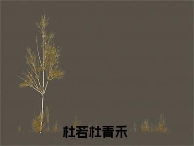 杜若杜青禾全集免费阅读无弹窗_杜若杜青禾完结小说榜单阅读（杜若杜青禾小说）