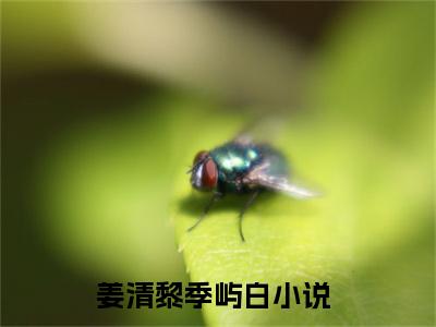 姜清黎季屿白（姜清黎季屿白）小说免费在线阅读_姜清黎季屿白全本免费小说阅读（姜清黎季屿白）