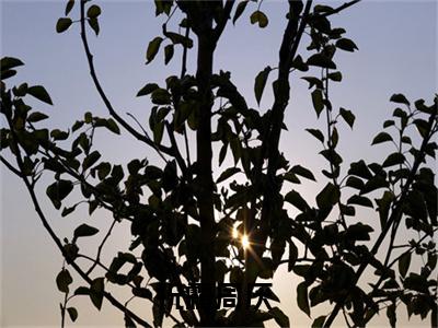 祝霜周厌（祝霜周厌）小说结局-祝霜周厌全文无弹窗阅读