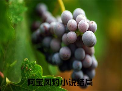 全员反派读我心后，我嘎了男女主是阿宝凤灼的小说_主角是全员反派读我心后，我嘎了男女主免费阅读_全员反派读我心后，我嘎了男女主小说免费阅读-笔趣阁