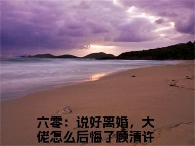 六零：说好离婚，大佬怎么后悔了顾清许（六零：说好离婚，大佬怎么后悔了顾清许）小说全文免费阅读正版无弹窗_六零：说好离婚，大佬怎么后悔了顾清许完结免费阅读无弹窗_笔趣阁