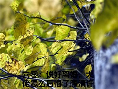 六零：说好离婚，大佬怎么后悔了顾清许(六零：说好离婚，大佬怎么后悔了顾清许)全文免费阅读无弹窗大结局_(六零：说好离婚，大佬怎么后悔了顾清许免费阅读全文大结局)最新章节列表_笔趣阁（六零：说好离婚，大佬怎么后悔了顾清许）