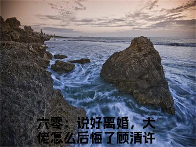 六零：说好离婚，大佬怎么后悔了顾清许全文（六零：说好离婚，大佬怎么后悔了顾清许）全文免费阅读无弹窗大结局_（六零：说好离婚，大佬怎么后悔了顾清许全文）六零：说好离婚，大佬怎么后悔了顾清许全文最新章节列表_笔趣阁（六零：说好离婚，大佬怎么后悔了顾清许全文）