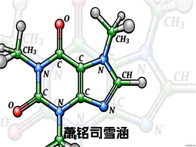 （萧铭司雪涵）全文免费阅读无弹窗大结局_萧铭司雪涵免费小说最新章节列表笔趣阁（萧铭司雪涵）