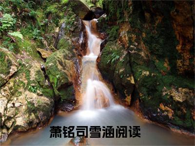 萧铭司雪涵新上精彩热文小说全文-萧铭司雪涵完整版全文在线赏析