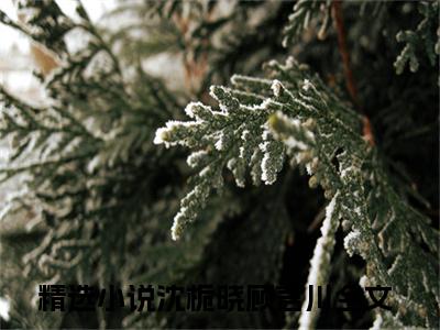 沈栀晓顾言川抖音小说-小说主角叫什么沈栀晓顾言川